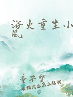 浴火重生小说陈风