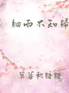 细雨不知归