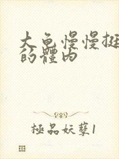 大龟慢慢挺进我的体内