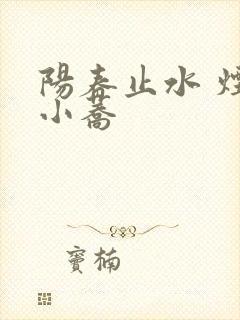 阳春止水 烟树小荞