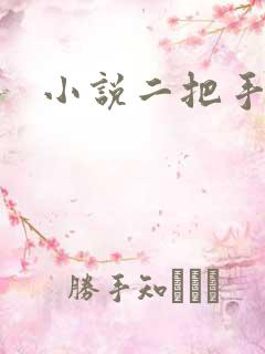 小说二把手