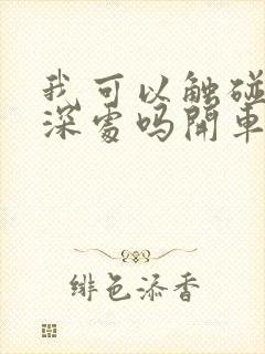 我可以触碰你的深处吗开车作文