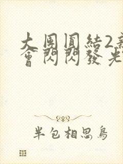 大团圆结2亲情会闪闪发光目录