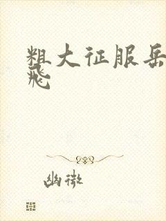 粗大征服岳女双飞