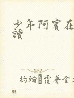 少年阿宾在线阅读