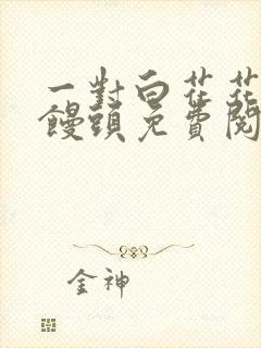 一对白花花的大馒头免费阅读