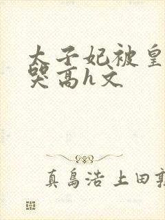 太子妃被皇上c哭高h文