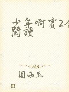 少年啊宾2全文阅读