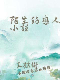 陌生的恋人原著小说