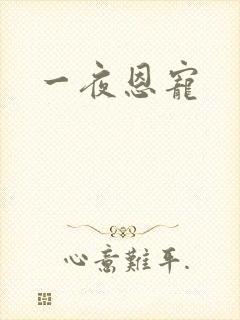 一夜恩宠