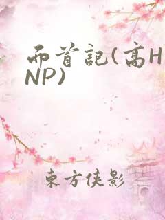 面首记(高H NP)