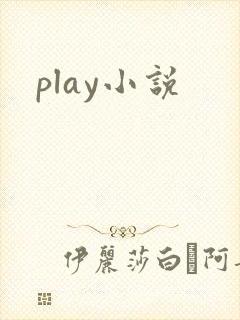 play小说