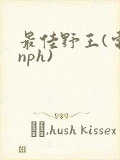 最佳野王(电竞nph)