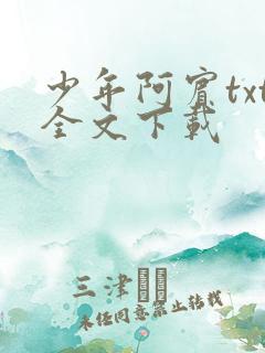 少年阿宾txt全文下载