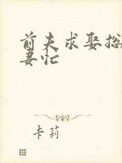 前夫求娶总裁追妻忙