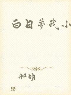 白日梦我小说