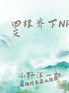 四根齐下NP宫交
