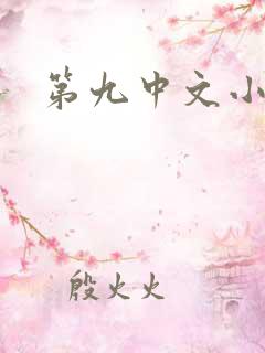 第九中文小说网