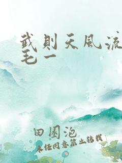 武则天风流艳情毛一