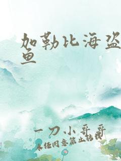 加勒比海盗4人鱼