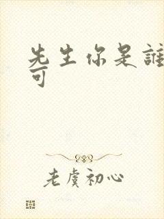 先生你是谁林亦可