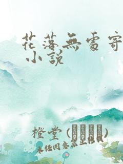 花落无处寄相思 小说