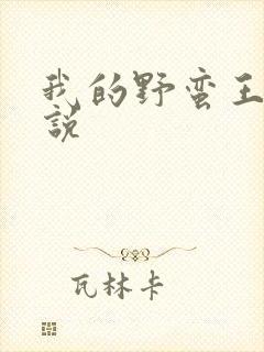我的野蛮王妃小说