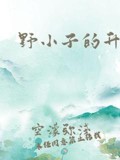 野小子的升官路