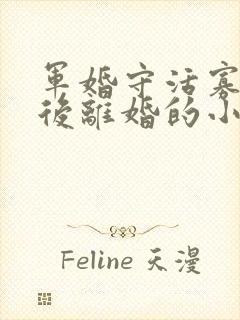 军婚守活寡重生后离婚的小说