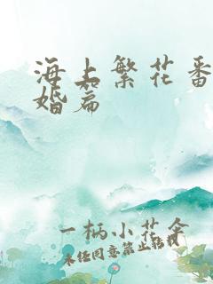 海上繁花番外结婚篇