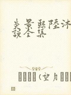 炎景熙陆沐擎小说全集