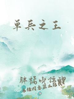 单兵之王