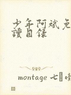 少年阿斌免费阅读目录