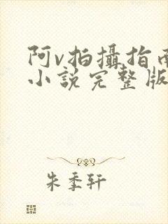 阿v拍摄指南说小说完整版