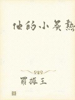 他的小炙热