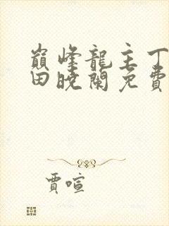 巅峰龙主丁长顺田晓兰免费阅读