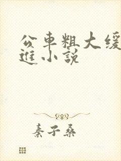 公车粗大缓缓挤进小说