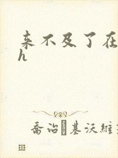 来不及了在车ch