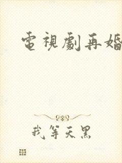 电视剧再婚家庭