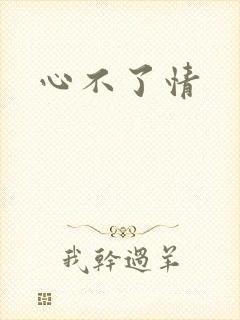 心不了情