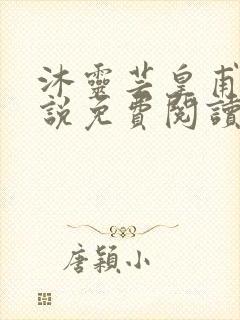 沐灵芸皇甫霆小说免费阅读