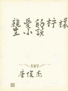 亲爱的柠檬精先生小说