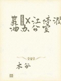严峫X江停润滑油办公室