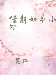 佳期如梦小说番外