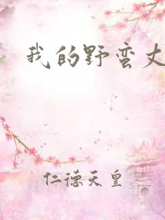 我的野蛮丈夫