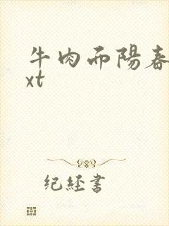 牛肉面阳春面txt