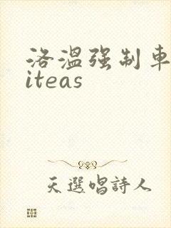 洛温强制车writeas