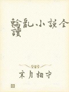 轮乱小说全文阅读