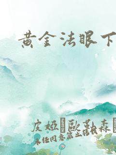 黄金法眼下载