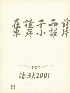 在镜子面前做开车疼小说片段